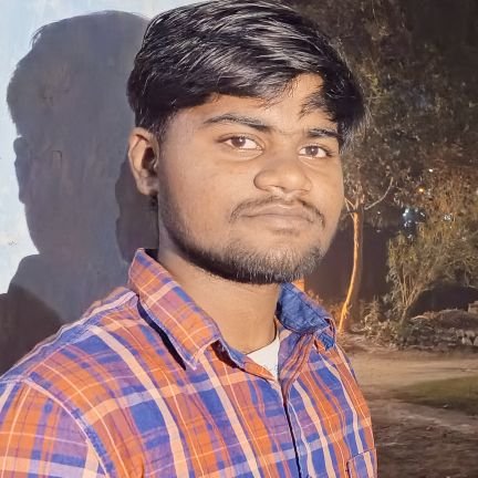 raushanksujal's profile picture. Software Engineer | Building Euron