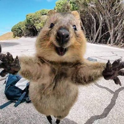 happyclaire31's profile picture. 読書、釣り、グルメ、投資(投信、現物🇯🇵🇺🇸、₿)旅行、ヨガ、猫、ジャッキーチェン、野球、相撲