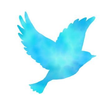 re_penguindrum's profile picture. 運命の実を一緒に食べよう 横浜〜東京 資格勉強中。一緒に勉強orご飯できる社会人友達ができたらいいな