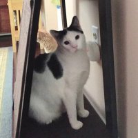 Christine Smith (@theothermssmith) 's Twitter Profile