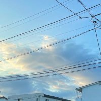 U (@u72159639) Twitter profile photo