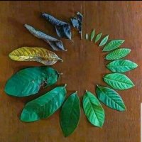MMỤỌ NA MMADU (@gudhenry16) Twitter profile photo