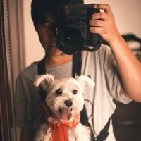 がーすー (@lambmuttonwool) 's Twitter Profile