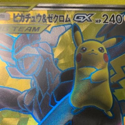 子供と従兄弟の子供とポケカ楽しんでます。MTGは絵アドをコレクション!遊戯王は初期集めてます!いつかは対戦したい!