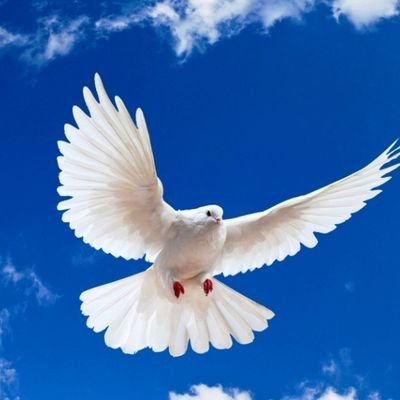 sarmachar712's profile picture. تشنه آموختن ، هلاک حقیقت