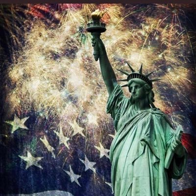 mirtropolis's profile picture. Land of the free Home of the Brave. 🇺🇸