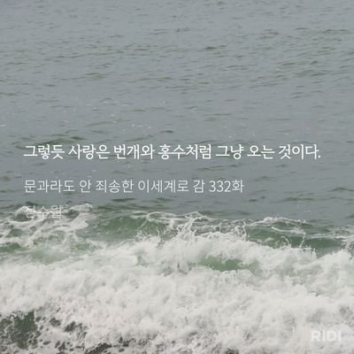 비비디바비디부さんのプロフィール画像