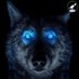 The Lone Wolf (@TraderLoneWolf) Twitter profile photo