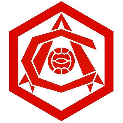 Twitter page for the Arsenal Shirt Collectors Group. Genuine worldwide collectors welcome new or old.
FORM IS TEMPORARY POLYESTER IS PERMANENT