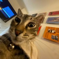 ale (@aleafterhours) 's Twitter Profile