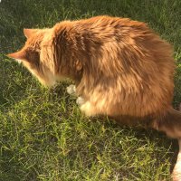 Cathair (@c4th41r) 's Twitter Profile