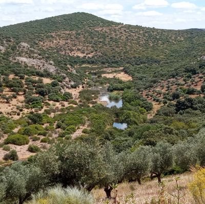 Defensa del Medio Ambiente y la Naturaleza