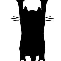 Catscratch (@ggaryc) 's Twitter Profile
