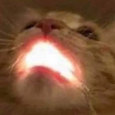 akkzz321's profile picture. !!!