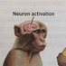 monkey analyst (@monkey_analyst) Twitter profile photo monkey analyst (@monkey_analyst) Twitter profile photo
