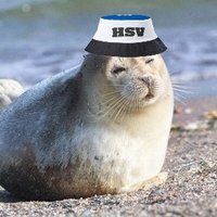 Rob (@robsenxi) 's Twitter Profile Photo