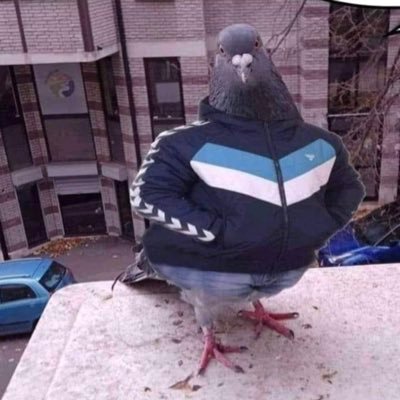 Sabhawii's profile picture. 🌽 🌽