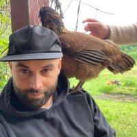 lockaby ursa (@lockaby_ian) 's Twitter Profile