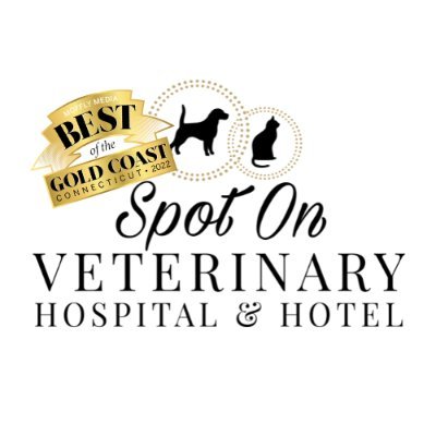 Award winning Vet Hospital, Pet Hotel, Dog Daycare, Grooming & Valet in Stamford CT 🐾