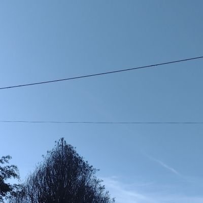 PiresAnder's profile picture. 