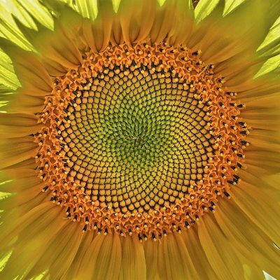 draft_onder's profile picture. #xu100 #btc Meb de öğretmen. Acelemiz yok. Az biraz çiziktiriyoruz. Bende tarama yok. Yatırıma değer gördüğüm kağıtları orta uzun vade teknikle alır ve satarım.