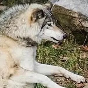 E95112817's profile picture. nothing to see here