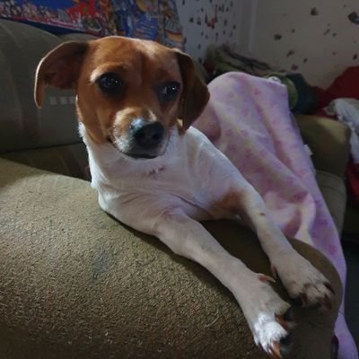 Jos30317367's profile picture. Alguien a quien no debes hacer enojar