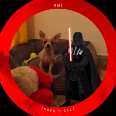 YanniTegui's profile picture. ⭕️⭕️⭕️⭕️⭕️⭕️⭕️⭕️⭕️⭕️⭕️⭕️⭕️⭕️⭕️⭕️⭕️⭕️⭕️⭕️⭕️⭕️⭕️⭕️ ecomi