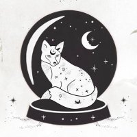 Magiclead (@magicleadshop) 's Twitter Profile Photo Magiclead (@magicleadshop) 's Twitter Profile Photo