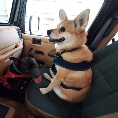 sarcsucks's profile picture. my body is killing me ☠️ FUCK racists🖕🏼womens rights pro-abortion ✊🏼love is love 🏳️‍🌈 I'm an asshole, not a scumbag 🧐