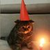 😸 (@thebussyslayer) Twitter profile photo 😸 (@thebussyslayer) Twitter profile photo