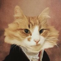 SimbasOwner (@ownersimbas) 's Twitter Profile Photo SimbasOwner (@ownersimbas) 's Twitter Profile Photo