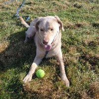 Jobeth Grzembski (@jgrzembski) 's Twitter Profile