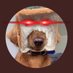 repput (@repput3) Twitter profile photo repput (@repput3) Twitter profile photo