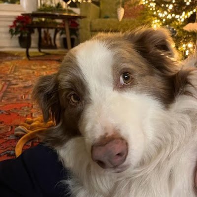 SlashingSimR's profile picture. 