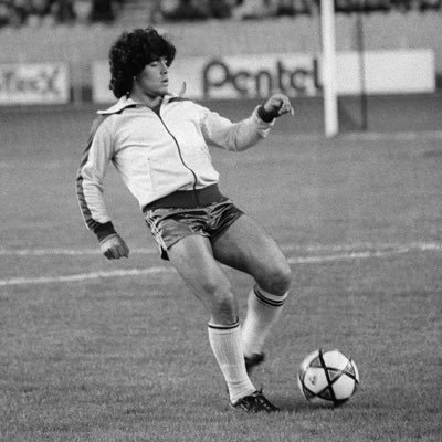 sultaselects's profile picture. 