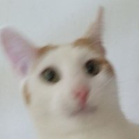 philip (@philophi_) 's Twitter Profile Photo