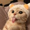 maedepet_3_'s profile picture. serviço indisponível no momento, volte depois