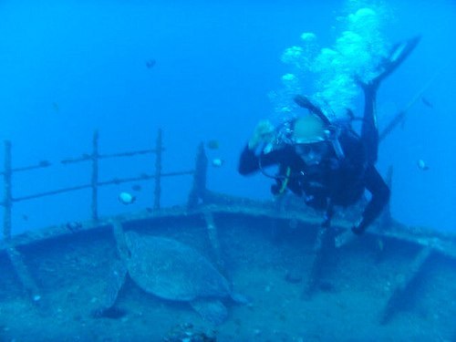 shanebylsma's profile picture. from denver 39