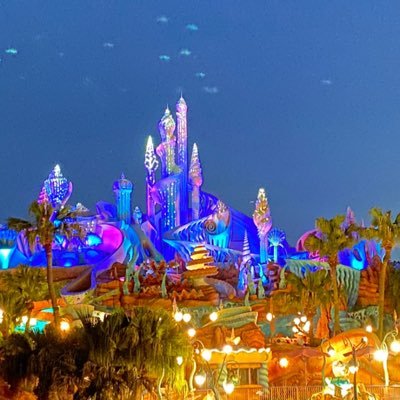 kaede_oo17's profile picture. LA短期留学