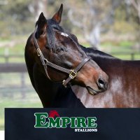 Empire Stallions (@empirestallions) 's Twitter Profile