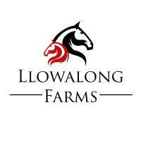 Northern Rivers Equine & Llowalong Farms(@EquineRivers) 's Twitter Profile Photo