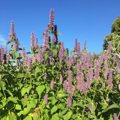 TaoGao19's profile picture. 胜事空自知