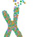 Webb Lab @ The Buck Institute (@thewebblab) Twitter profile photo Webb Lab @ The Buck Institute (@thewebblab) Twitter profile photo