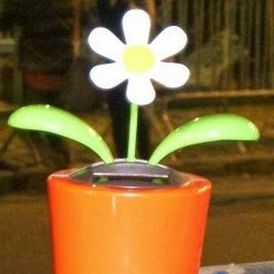 d_sandloop's profile picture. 