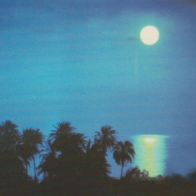 thesaltarc's profile picture. 24, he. minors dni 🔞🔞🔞