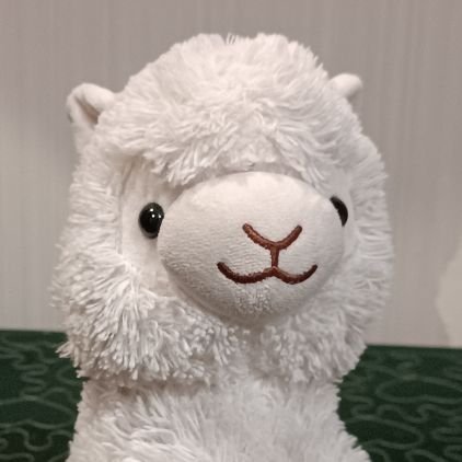 grilledsalmon11's profile picture. being unfathomably incompetent is my profession.

*was once* the #2 fan of the underrated roblox experience average plate gaem