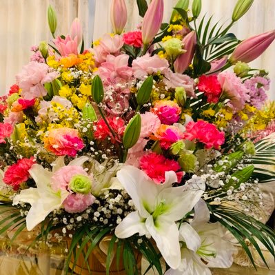 lili41596686's profile picture. 