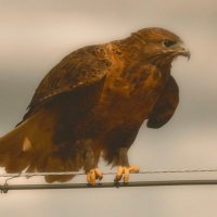 BJ RS (@rs_couplebj) Twitter profile photo