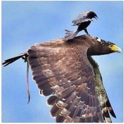 Truth is Everything...Enjoy Life.....Respect Everyone.....Death comes to All of Us...but honour your parents before death visits you.. God is Real
